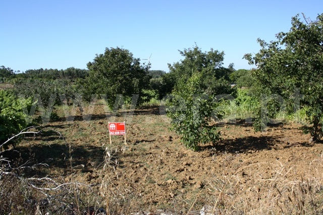 Terreno / Lourinhã, Reguengo Grande