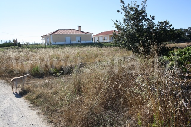 Terreno  Lourinhã, Reguengo Grande - 527639 - 3