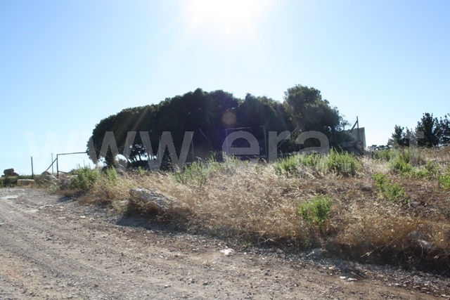 Terreno  Lourinhã, Reguengo Grande - 527639 - 6