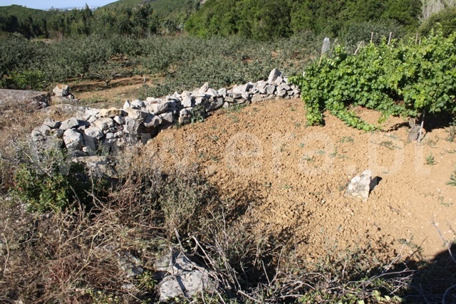 Terreno  Lourinhã, Reguengo Grande - 527639 - 11