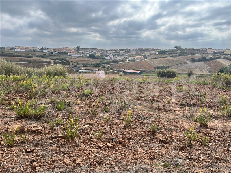 Terreno / Lourinhã, Santa Bárbara