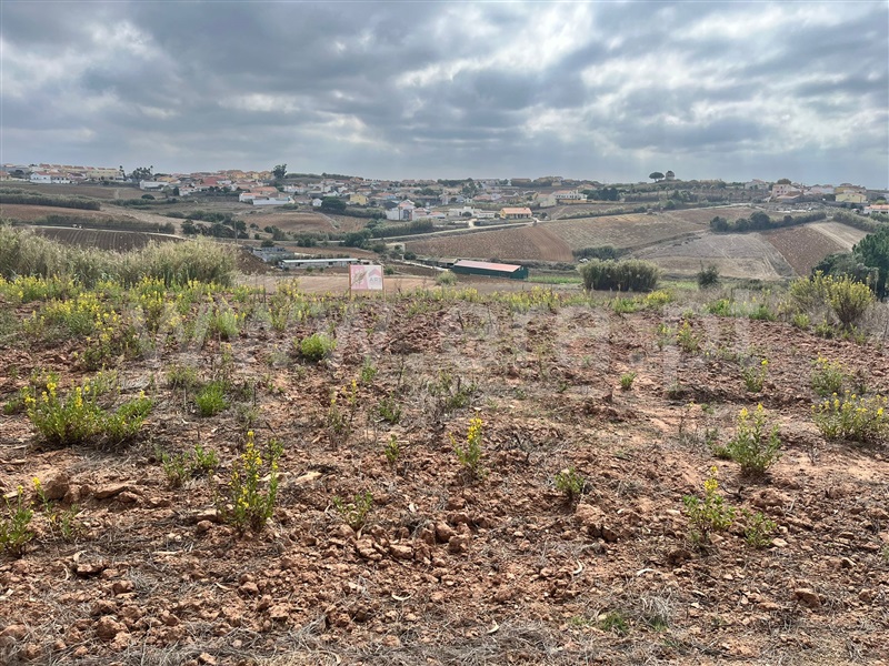 Terreno Rústico  Lourinhã, Pregança do Mar - 1510761 - 2