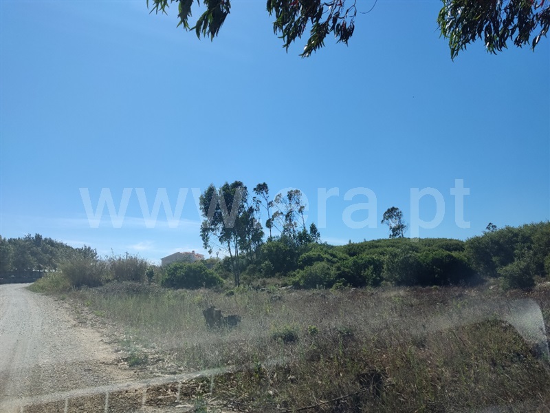 Terreno  Lourinhã, São Bartolomeu dos Galegos - 1430329 - 3