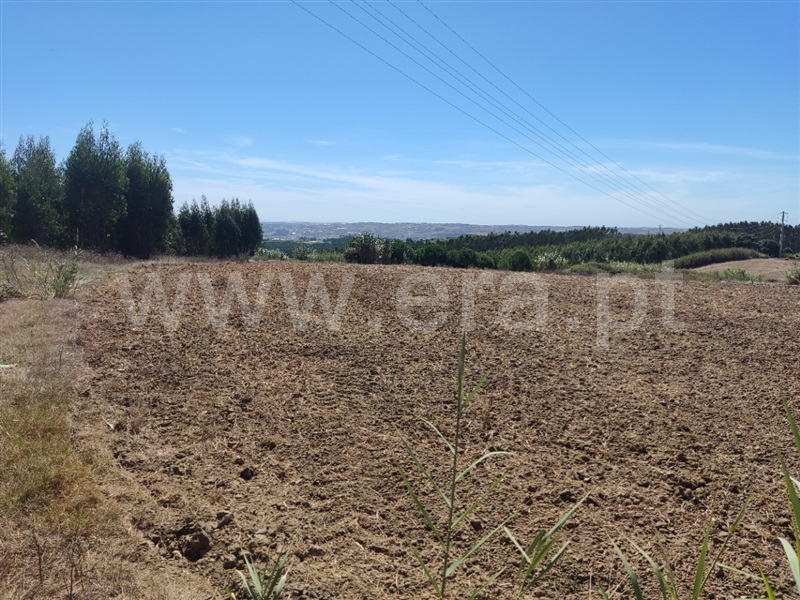 Terreno  Lourinhã, São Bartolomeu dos Galegos - 1430330 - 4