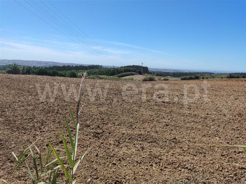 Terreno  Lourinhã, São Bartolomeu dos Galegos - 1430330 - 5