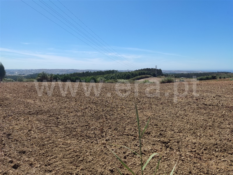 Terreno  Lourinhã, São Bartolomeu dos Galegos - 1430330 - 6