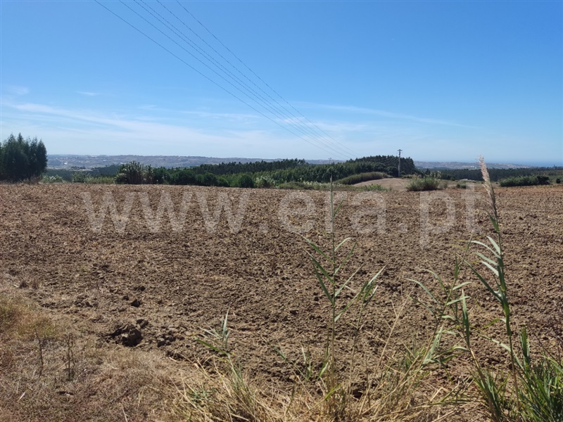 Terreno  Lourinhã, São Bartolomeu dos Galegos - 1430330 - 7