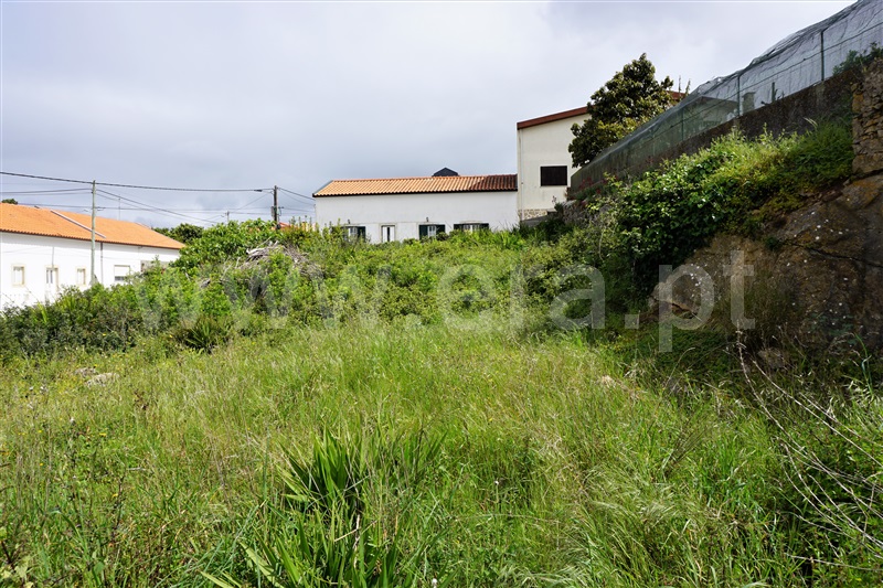 Terreno  Lourinhã, São Bartolomeu dos Galegos e Moledo - 1240195 - 3