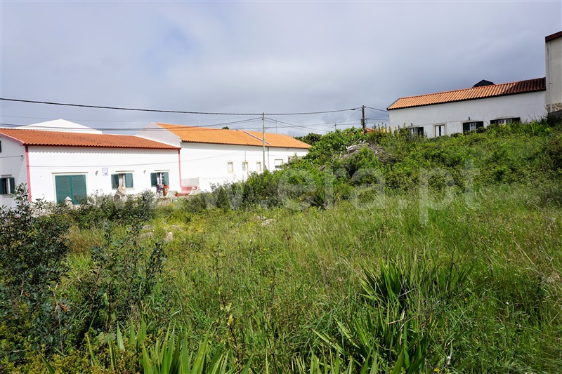 Terreno  Lourinhã, São Bartolomeu dos Galegos e Moledo - 1240195 - 4