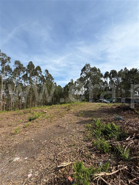 Terreno / Lousada, Lustosa e Barrosas (Santo Estêvão)