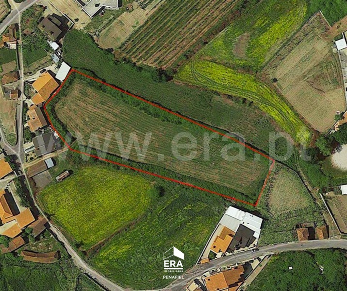 Terreno / Lousada, Nespereira e Casais
