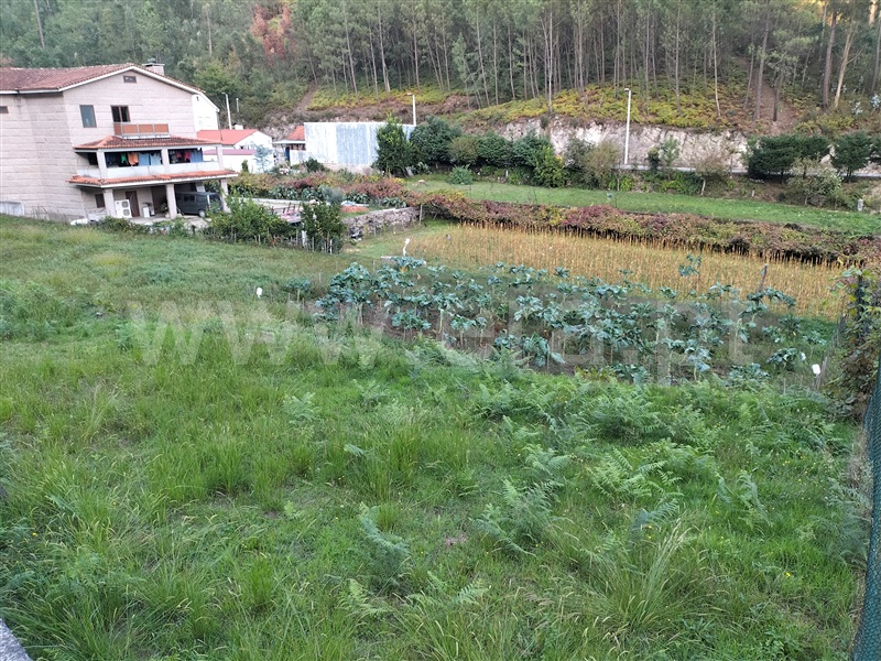 Terreno / Lousada, Sousela