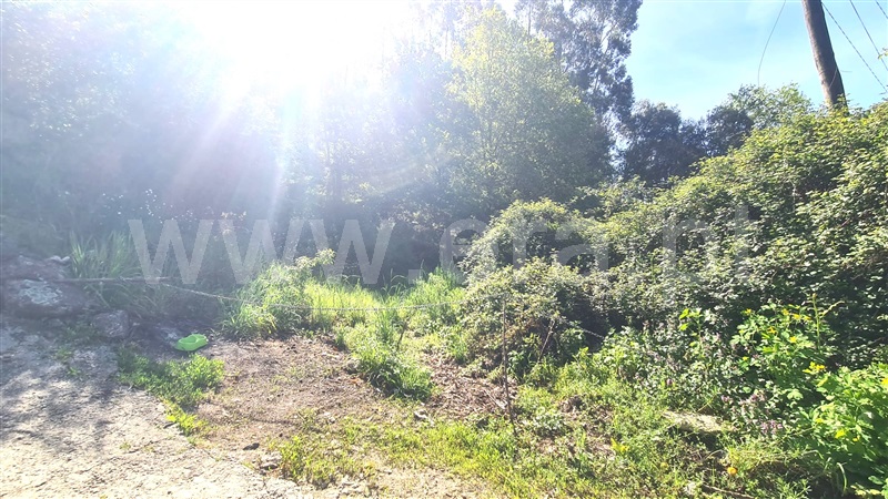 Terreno  Lousada, Sousela - 1474945 - 1