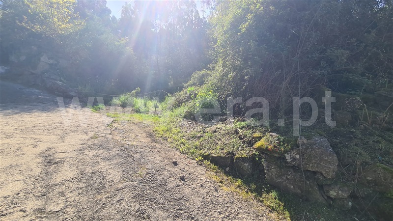 Terreno  Lousada, Sousela - 1474945 - 5