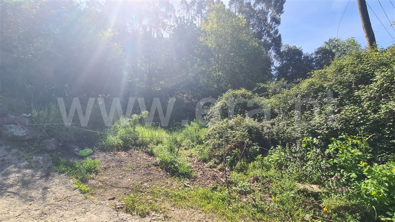 Terreno  Lousada, Sousela - 1474945 - 9