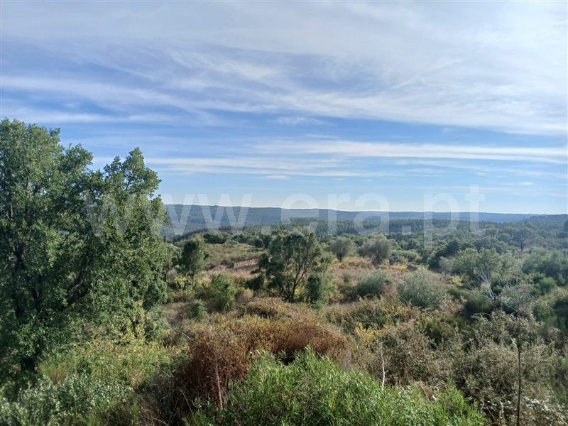 Terreno / Mação, Envendos