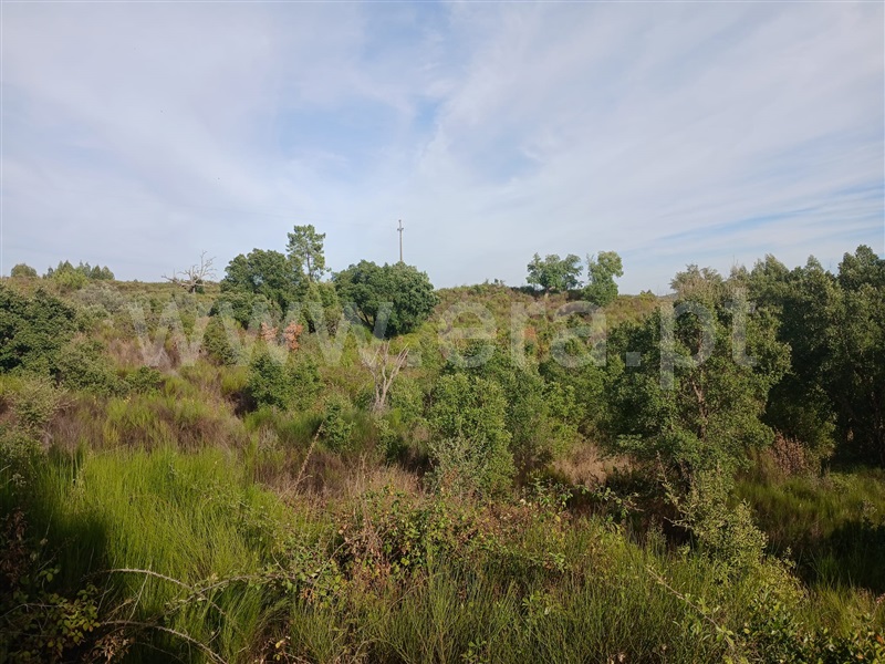 Terreno  Mação, Envendos - 1507397 - 3