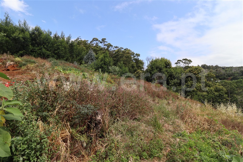 Terreno  Machico, Água de Pena - 1485779 - 3