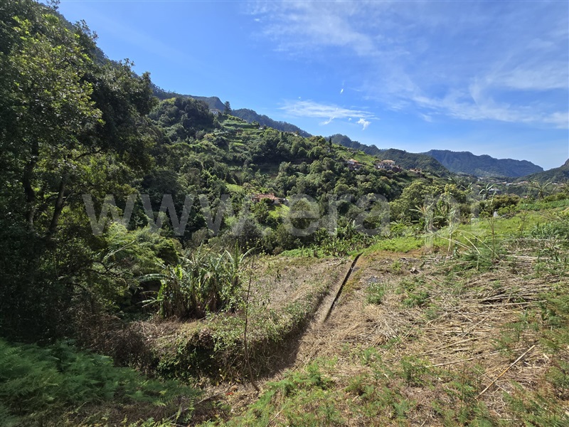 Terreno / Machico, Porto da Cruz