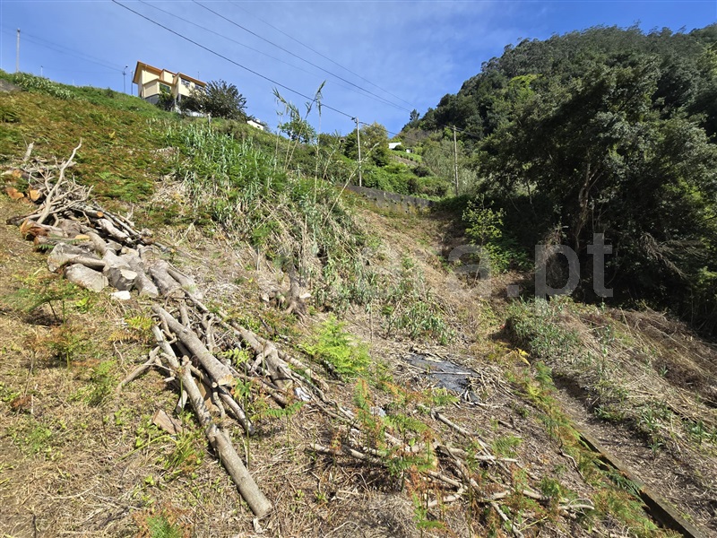 Terreno  Machico, Porto da Cruz - 1389139 - 3