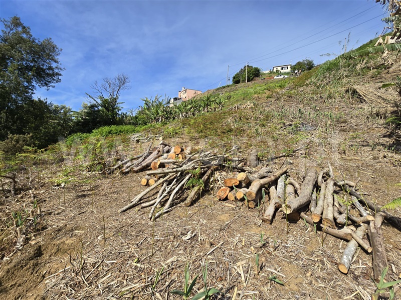 Terreno  Machico, Porto da Cruz - 1389139 - 6