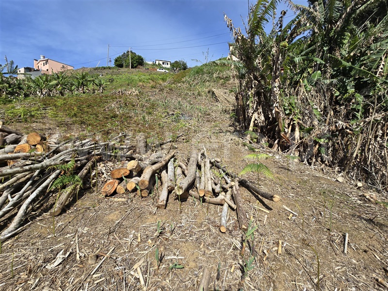 Terreno  Machico, Porto da Cruz - 1389139 - 7