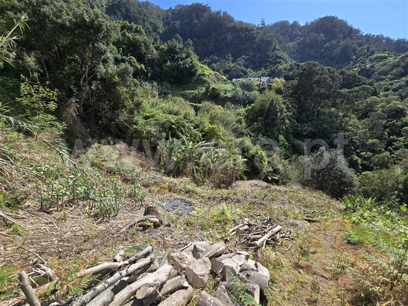Terreno  Machico, Porto da Cruz - 1389139 - 8