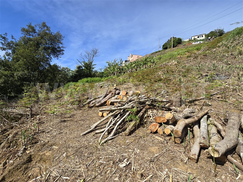 Terreno  Machico, Porto da Cruz - 1389139 - 9