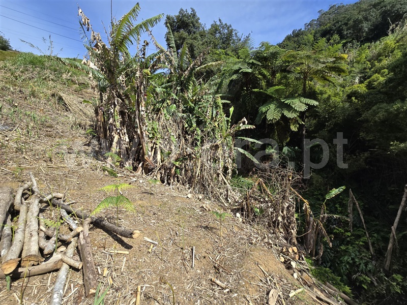 Terreno  Machico, Porto da Cruz - 1389139 - 10