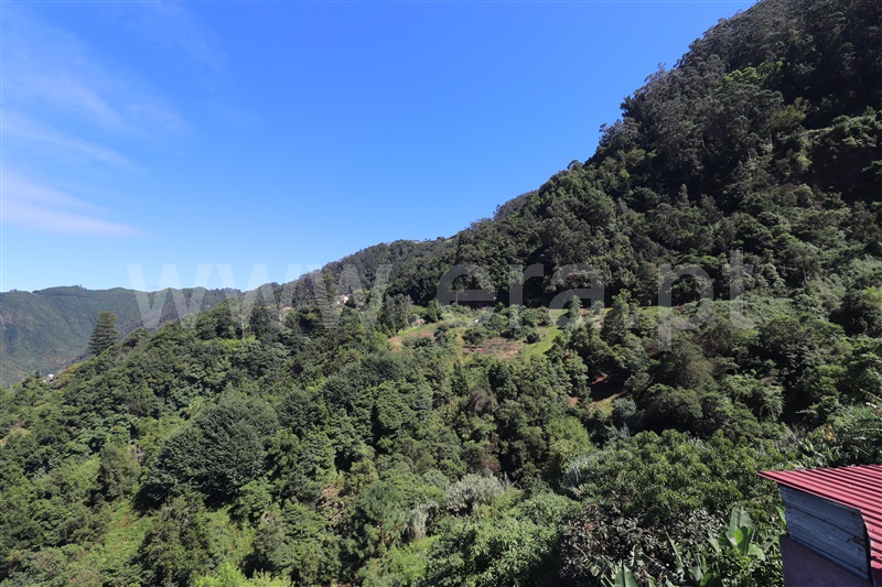 Terreno / Machico, Porto da Cruz