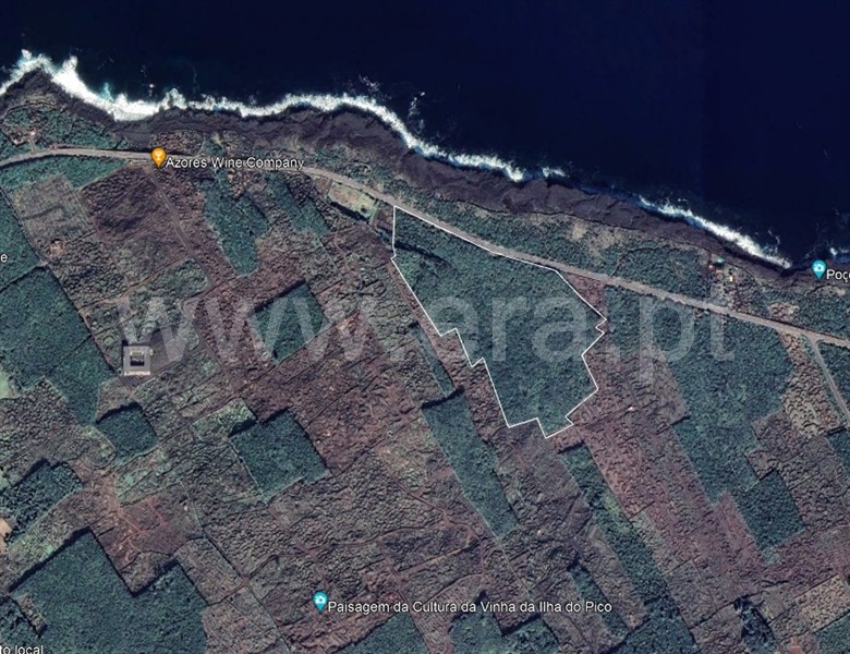 Terreno  Madalena, Bandeiras - 1335648 - 1