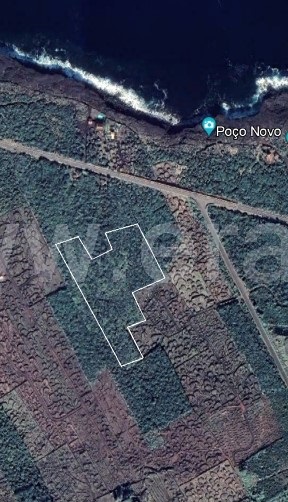 Terreno / Madalena, Bandeiras