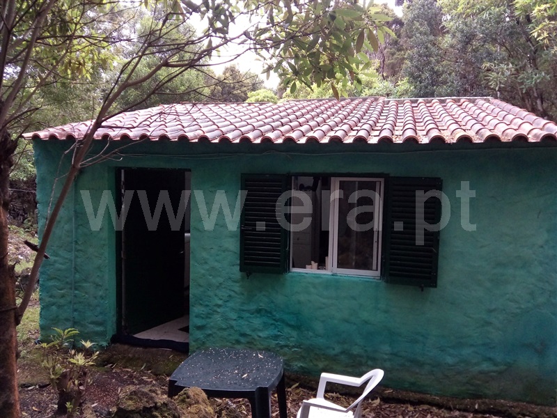 Terreno / Madalena, Bandeiras