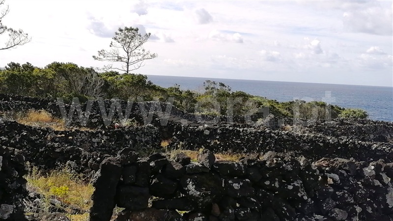 Terreno  Madalena, Candelária - 1489225 - 4