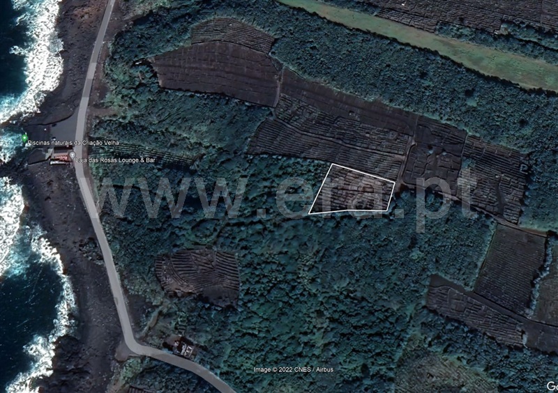 Terreno  Madalena, Criação Velha - 1489221 - 4