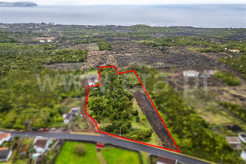 Terreno / Madalena, Madalena