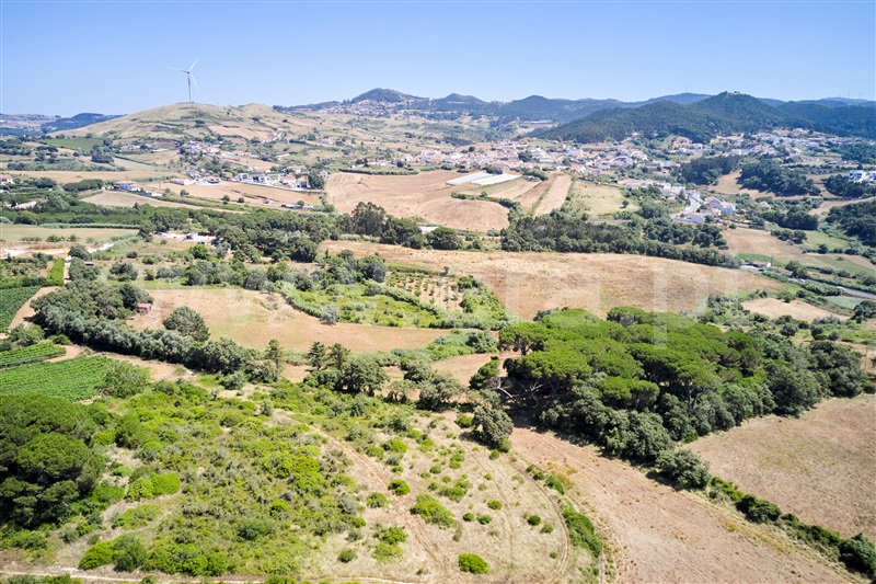 Terreno  Mafra, Enxara do Bispo, Gradil e Vila Franca do Rosário - 1491564 - 4