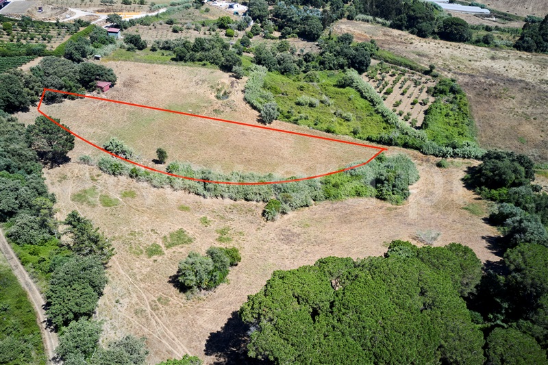 Terreno  Mafra, Enxara do Bispo, Gradil e Vila Franca do Rosário - 1491564 - 7