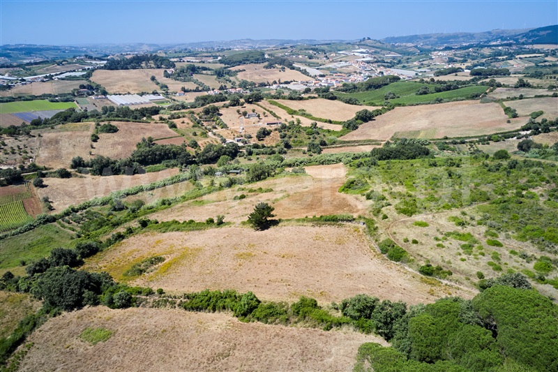 Terreno  Mafra, Enxara do Bispo, Gradil e Vila Franca do Rosário - 1491568 - 3