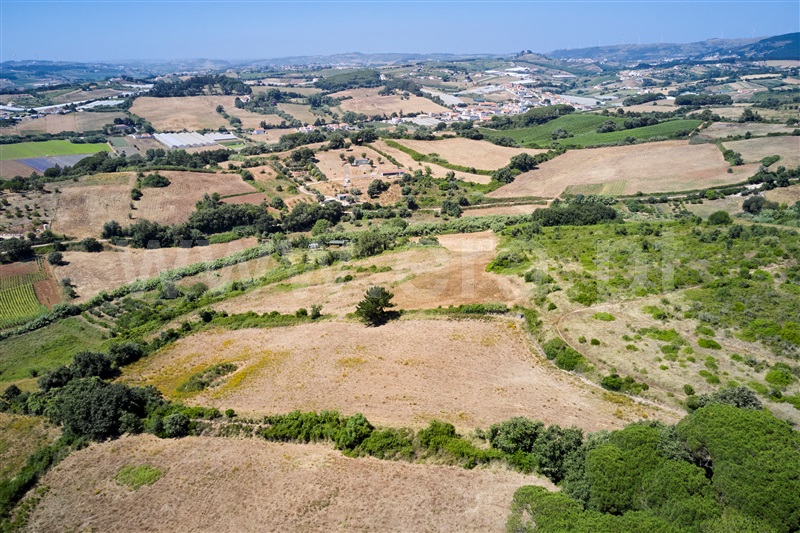 Terreno  Mafra, Enxara do Bispo, Gradil e Vila Franca do Rosário - 1491568 - 4