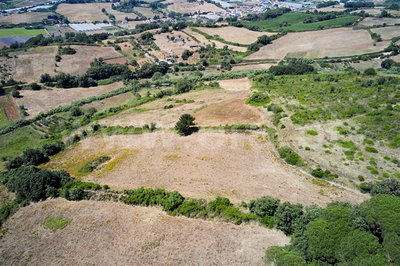 Terreno  Mafra, Enxara do Bispo, Gradil e Vila Franca do Rosário - 1491568 - 6