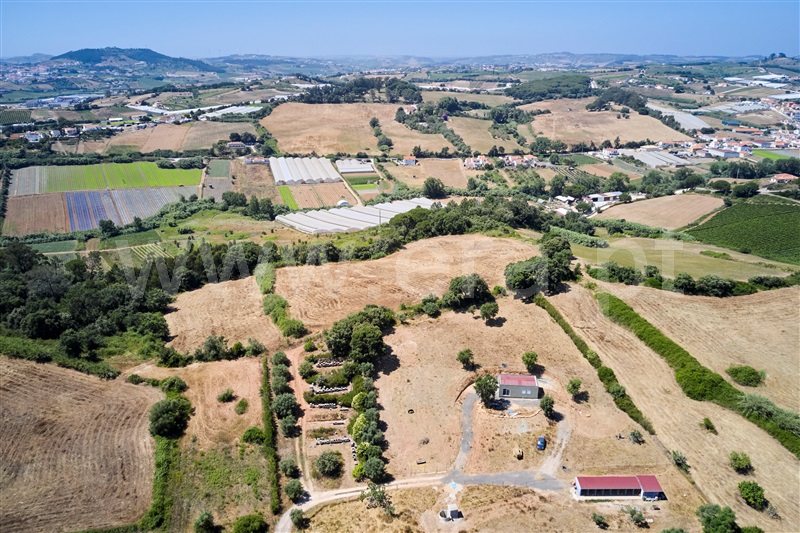 Terreno  Mafra, Enxara do Bispo, Gradil e Vila Franca do Rosário - 1491568 - 9