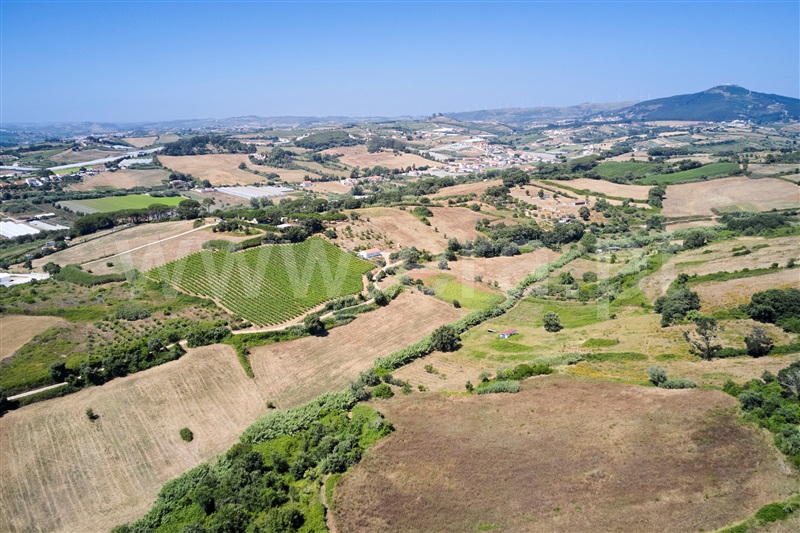 Terreno  Mafra, Enxara do Bispo, Gradil e Vila Franca do Rosário - 1491568 - 12