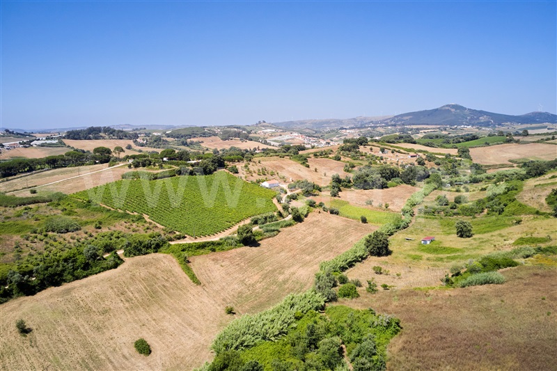 Terreno  Mafra, Enxara do Bispo, Gradil e Vila Franca do Rosário - 1491568 - 13