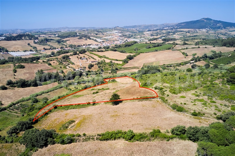 Terreno  Mafra, Enxara do Bispo, Gradil e Vila Franca do Rosário - 1491571 - 6