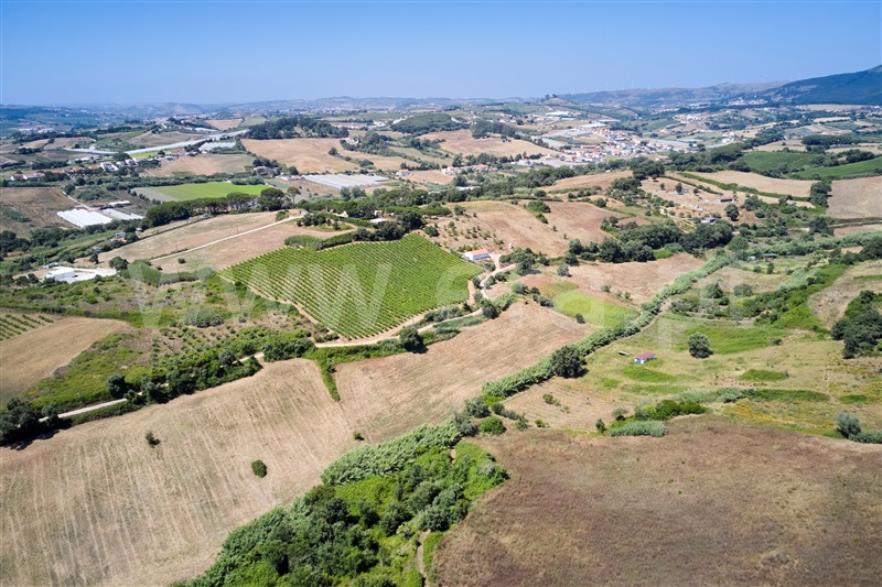 Terreno / Mafra, Mafra