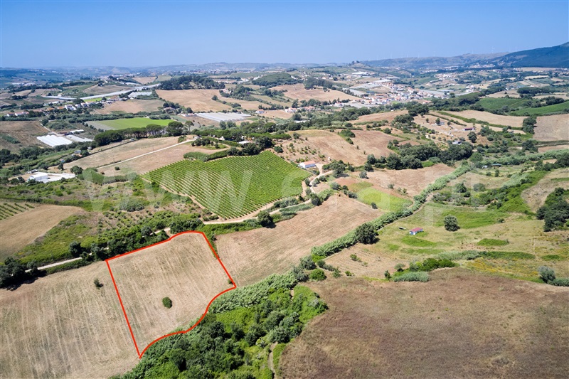 Terreno  Mafra, Enxara do Bispo, Gradil e Vila Franca do Rosário - 1491574 - 11