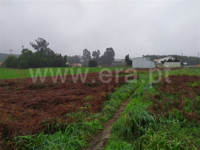 Terreno  Maia, Castêlo da Maia - 1071600 - 22