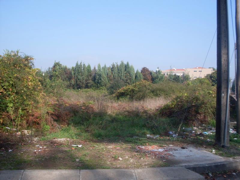 Terreno / Maia, Folgosa