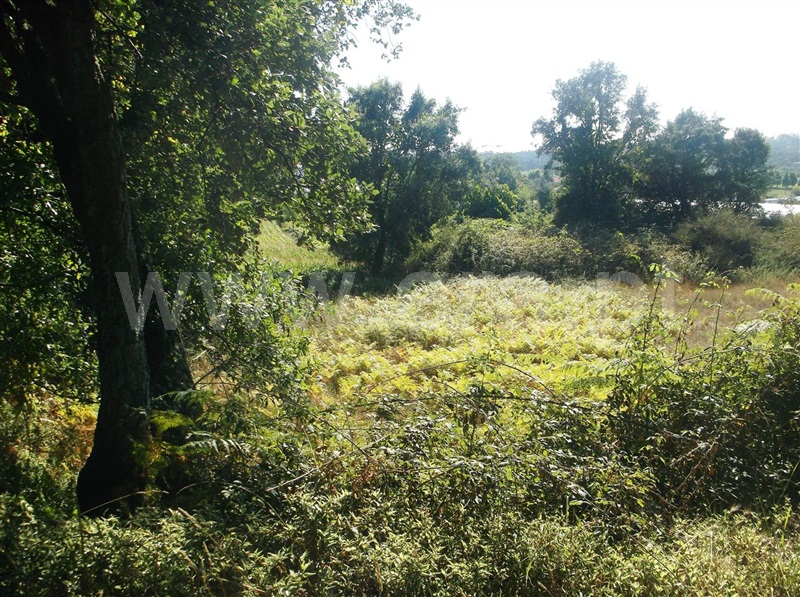 Terreno  Maia, Folgosa - 670494 - 2